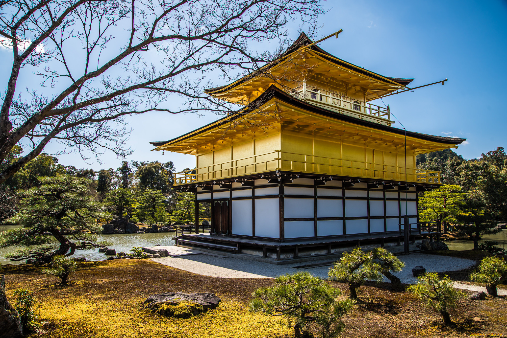 Китайские дома цена. Золотой павильон (Кинкаку-дзи). Минка Япония. Япония храм Кинкакудзи (золотой павильон) внутри. Матия архитектура Киото.